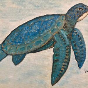 seraphina the sea turtle